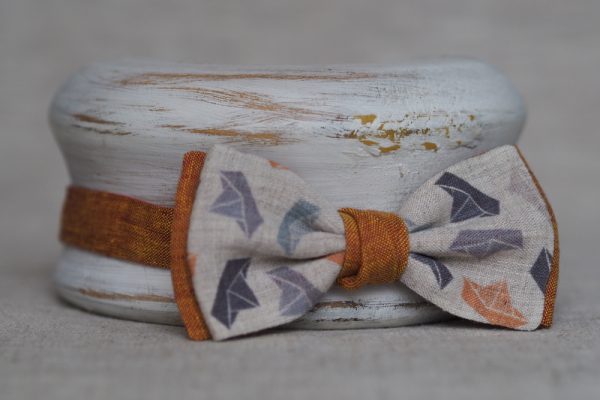 PETELIŠKĖ | VARLYTĖ | GINTARO GELSVA | ORIGAMI LAIVELIAI - Image 2